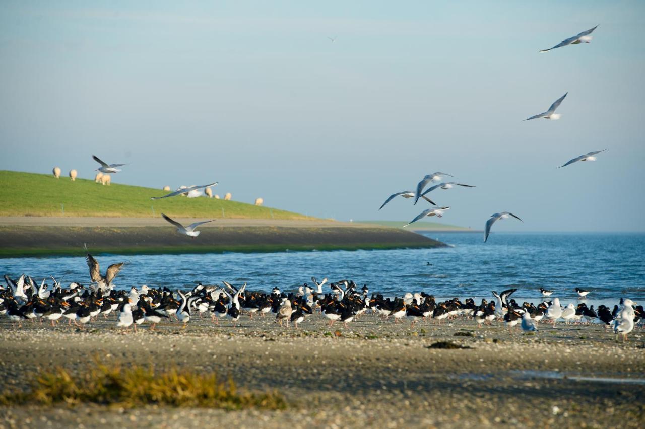 Breeze Ameland Hotel Hollum  Eksteriør billede